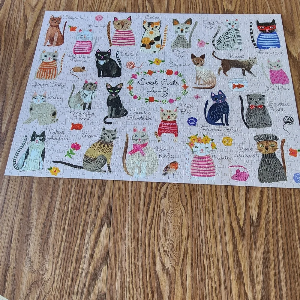 MudPuppy colorful Cool Cats A-Z 1000 piece Puzzle 27" X 20" - Picture 3 of 7